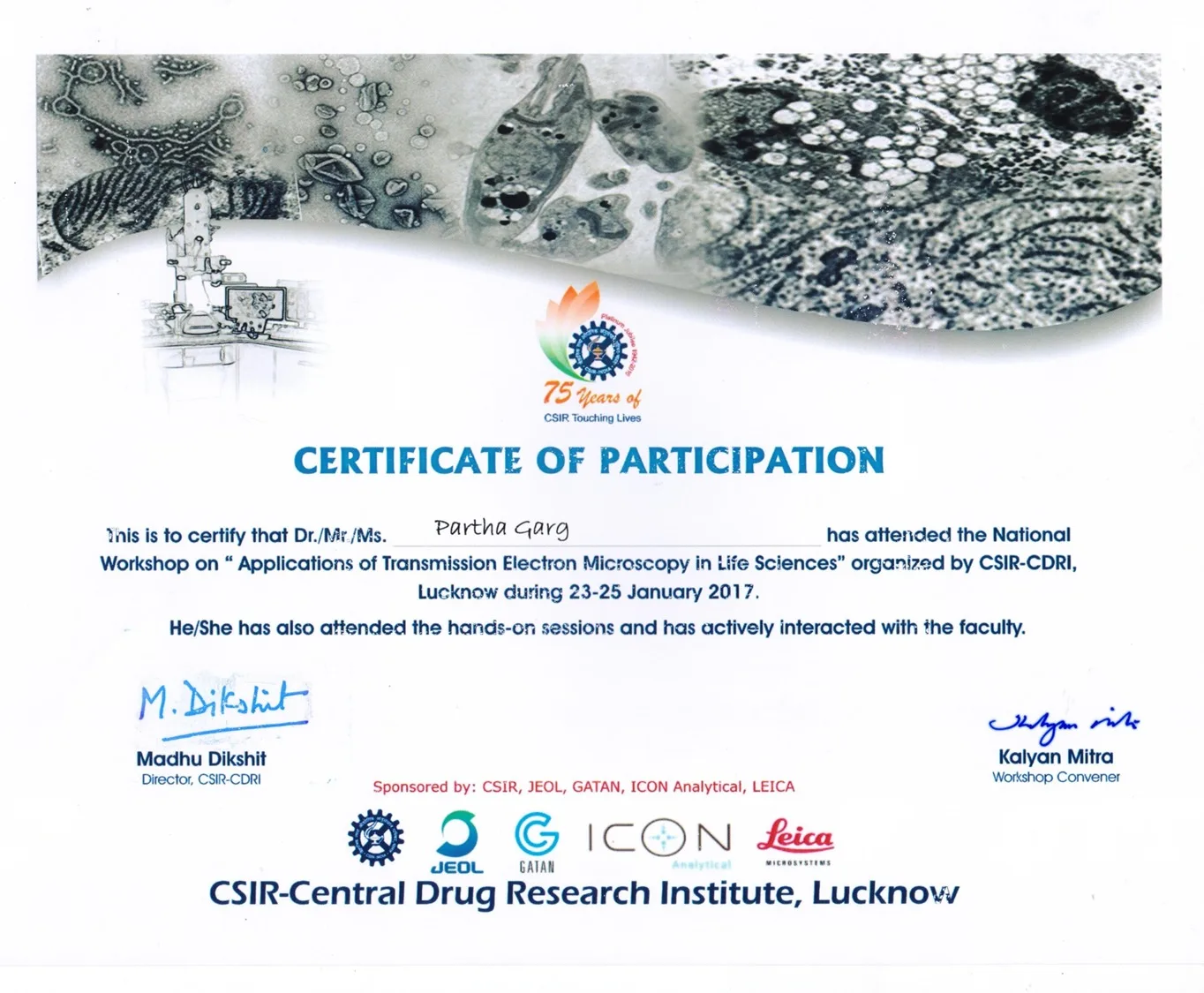 Certificate 43